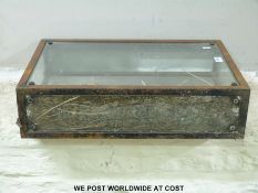 A Superdry Plc glass counter top display cabinet (length 60cm)