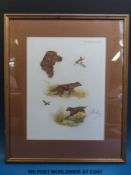 A framed signed print of Irish Setters and wildfowl (36 cm x 27 cm)