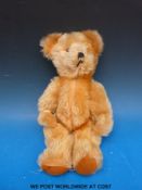 A musical teddy bear,