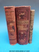 Handley Cross Mr Jorrock's Hunt (London, Bradbury, Agnew & Co.