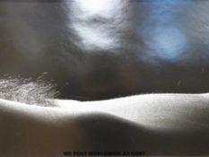 William Allen FRPS signed gelatine erotic print 'Michelle' (23 x 35cm)