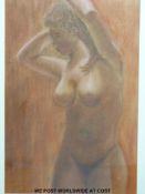 Colin Whitehead: pastel of a nude entitled 