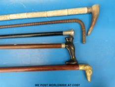 Five walking canes to include silver topped and horn handle examples
