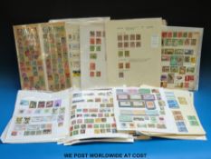 A large quantity of loose album and stockbook pages of Commonwealth stamps, mint and used.