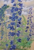 Alan Hydes watercolour of delphiniums (48 x 33cm)