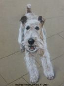 Two Don Johnson pastels, one of a cat the other a Golden Retriever dog,