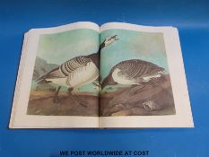 The Imperial Collection of Audubon Animals together with John James Audubon,