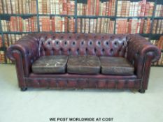 Chesterfield red leather button back three seat sofa.