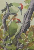 John Tennent signed print 'Green Woodpeckers' (42 x 29cm)