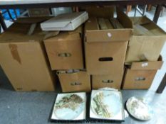 A very large collection of collector's plates,