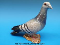 A Beswick pigeon with three bars and band around leg (14cm tall)