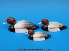 Three Beswick Peter Scott graduated Pochard ducks including 1520-1