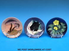 A Moorcroft pin dish with black tulip design,