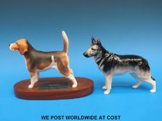 A Beswick Connoisseur Dogs Wendover Billy, model no.