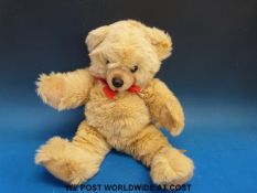 Steiff Molly Teddy bear with original tag and label to ear stiched 0321/55