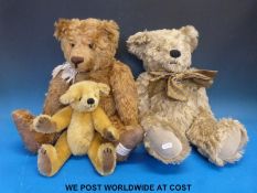 Two Asquiths of Windsor bears together with a similar Hartrick Bear Company bear,