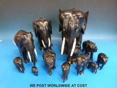 A collection of elephants,