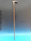 An Edwardian bamboo walking stick with a horn handle and hallmarked silver collar