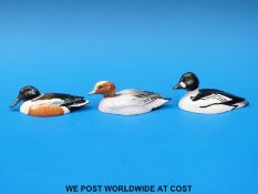 Three Beswick Peter Scott ducks Widgeon,