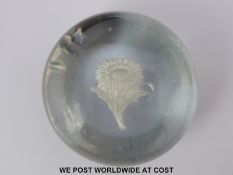 Sulphide cameo glass paperweight featuring a dandelion (6.