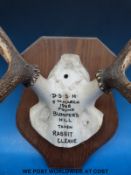 A taxidermy rack of three point antlers, script to mount reads: D.S.S.