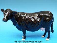 A Beswick Collectors Club (BCC) Black Galloway Cow limited edition 178/500 (14cm tall)