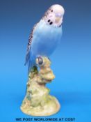 A Beswick blue Budgerigar (17cm tall)