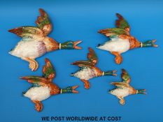 A set of five Beswick graduated duck wall plaques including '0'