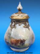 A Royal Worcester pedestal pot pourri and cover hand-decorated with Highland cattle and signed