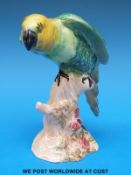 A Beswick Parakeet (16cm tall)