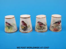 Four Royal Worcester thimbles hand decorated with birds,