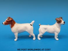 Two small Beswick Jack Russell terriers
