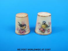 Two Royal Worcester thimbles hand decorated with birds, both signed Powell, unmarked (tallest 2.