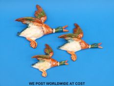 Three Beswick duck wall plaques