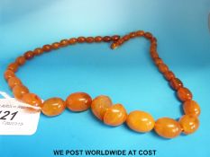 An amber necklace consisting of 37 graduated ovoid beads, the largest 2.5 x 1.
