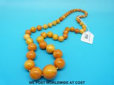 An amber necklace consisting of 49 graduated spherical beads, the largest 28mm in diameter,