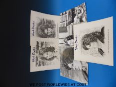 Exceptionally rare Nick Drake items.