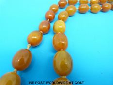 An amber necklace consisting of 55 graduated oval beads, the largest 23x18mm, the smallest 10x8mm,