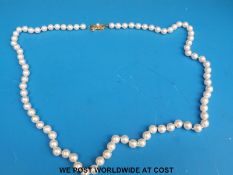 A Mikimoto single strand pearl necklace with 18k marked clasp