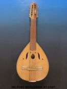 A twelve string flat back mandriola,