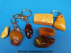 Three key rings each set with a chunk of amber and three loose sections of amber