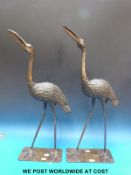 A pair of brass/bronze cranes probably Japanese (60cm tall)