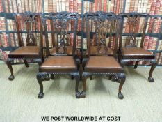 A set of six mahogany Chippendale style chairs raised on ball and claw feet