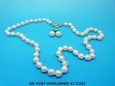 A single strand of pearls with a 9ct gold clasp and matching earrings