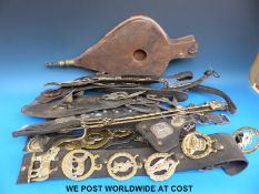 A collection of horse brasses including late Victorian and Edwardian examples together with a pair