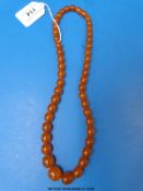 An amber necklace consisting of 45 graduated ovoid beads, the largest 17 x 15cm,