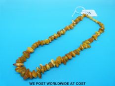 An amber necklace consisting of irregular shaped beads,