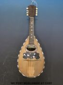 A cased c1900 Stridente bowl backed mandolin with mother of pearl decoration