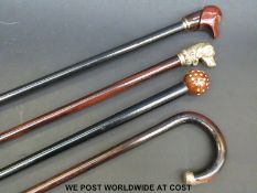Four various walking sticks