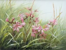 Mary Dipnall oil on canvas 